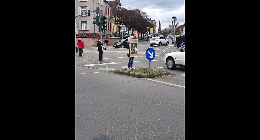 Ampel-Aktion Anti-Pelz in Offenburg